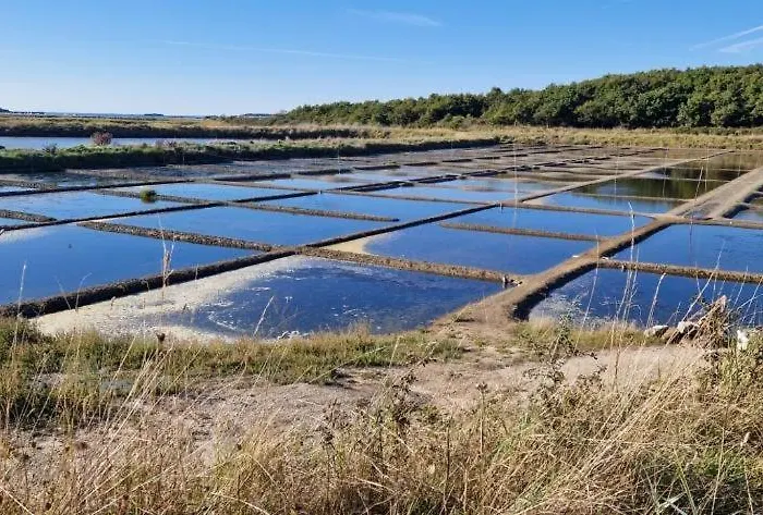 Habitación en casa particular Indépendante Mesquer Avec Coin Cuisine Quimiac